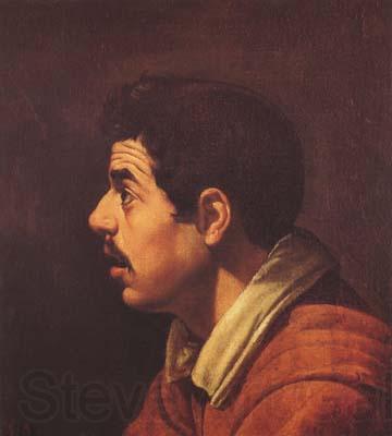 Diego Velazquez Portrait de Jenne homme de profil (df02) Germany oil painting art
